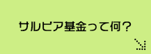 サルビアって何？